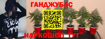 скорость Гусев